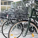 Touring Ferrara
